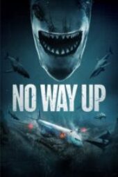 download No Way Up (2024) sub indo